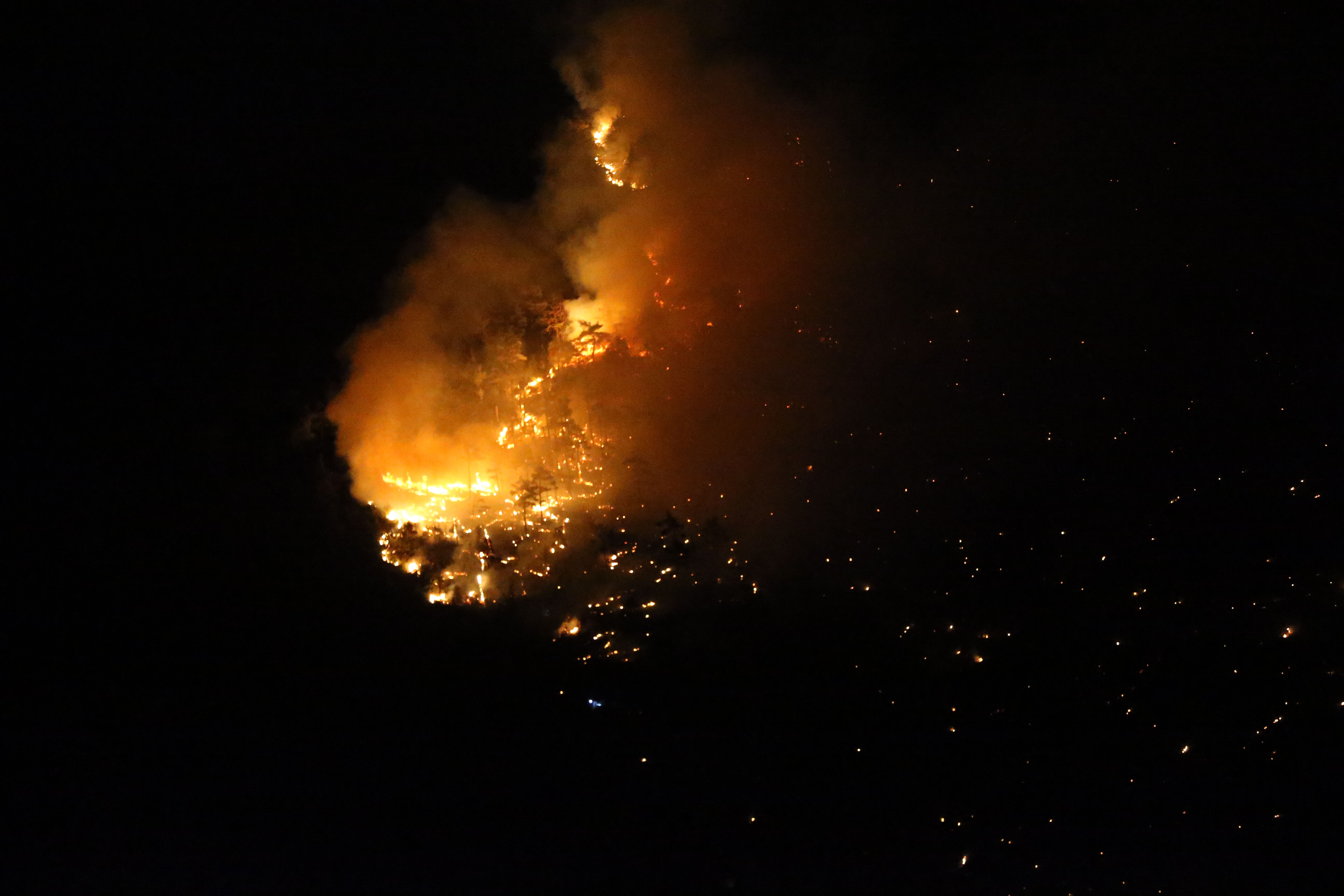 Denizli'de orman yangını! Havadan ve karadan müdahale sürüyor - 2. Resim