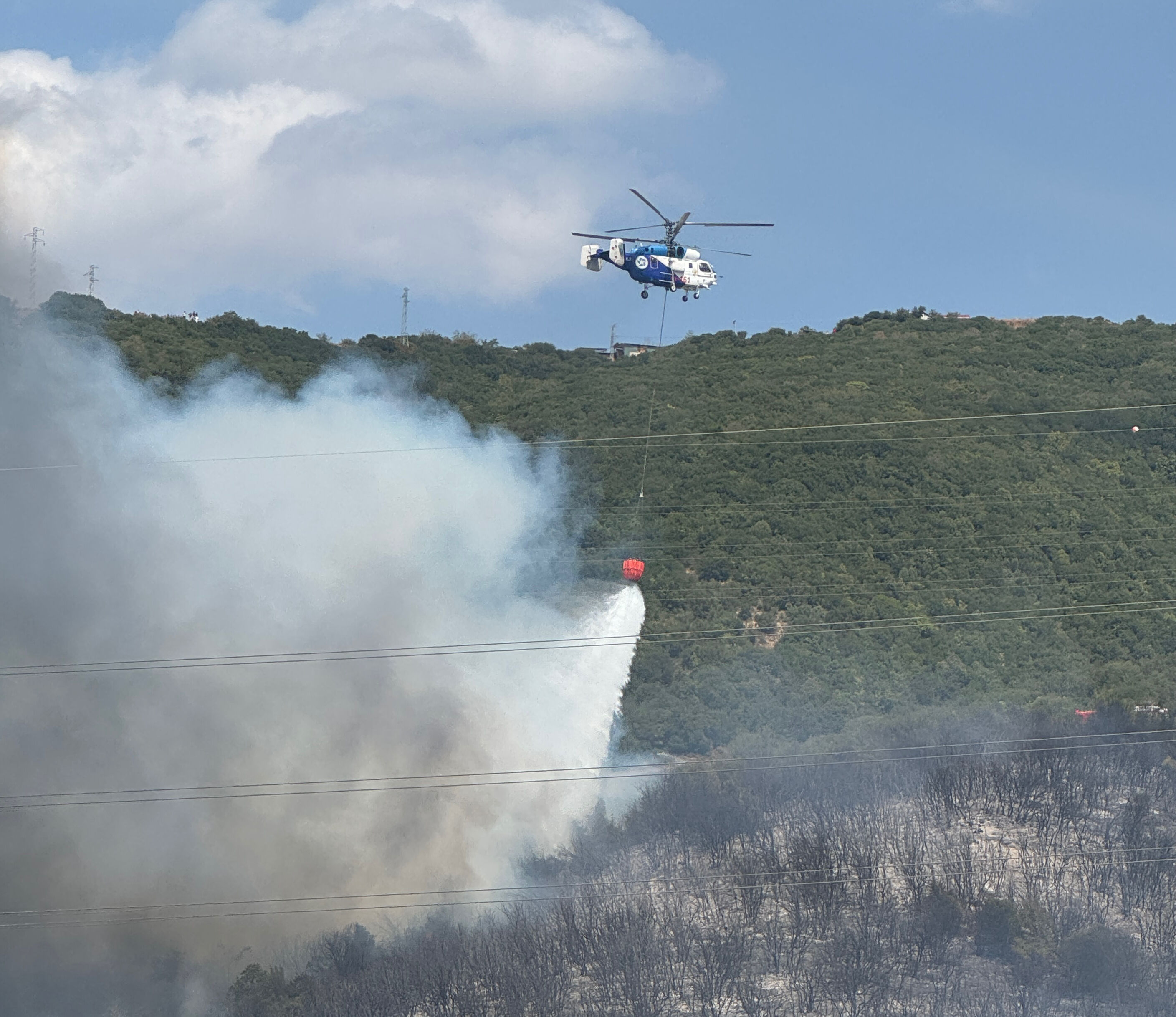 Kocaeli'nde orman yangını evlere sıçradı! Alevlerle mücadele başladı - 2. Resim