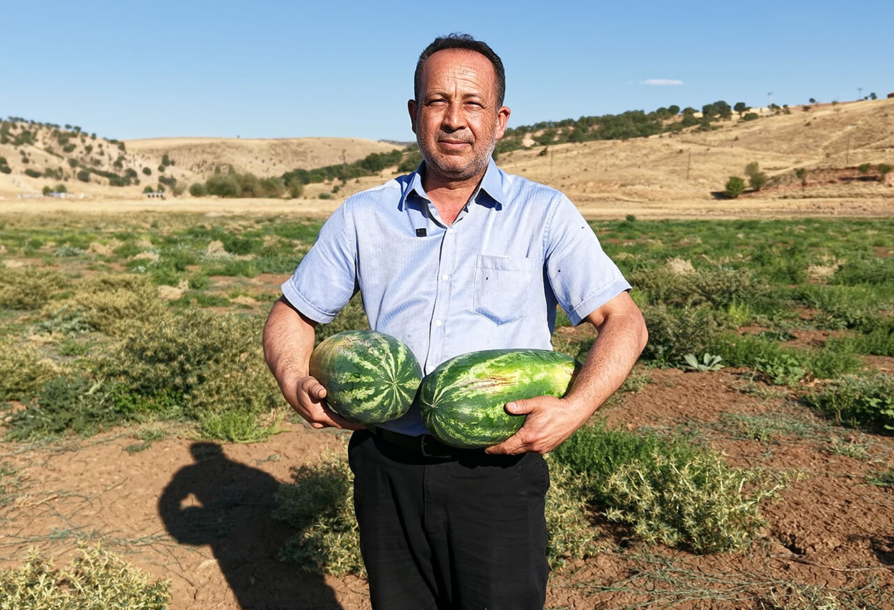 Kuruyan g&ouml;l karpuz tarlasına d&ouml;nd&uuml;, k&ouml;yl&uuml;ler hayret etti: Kimse ekmedi, kendiliğinden ortaya &ccedil;ıktılar - 1. Resim