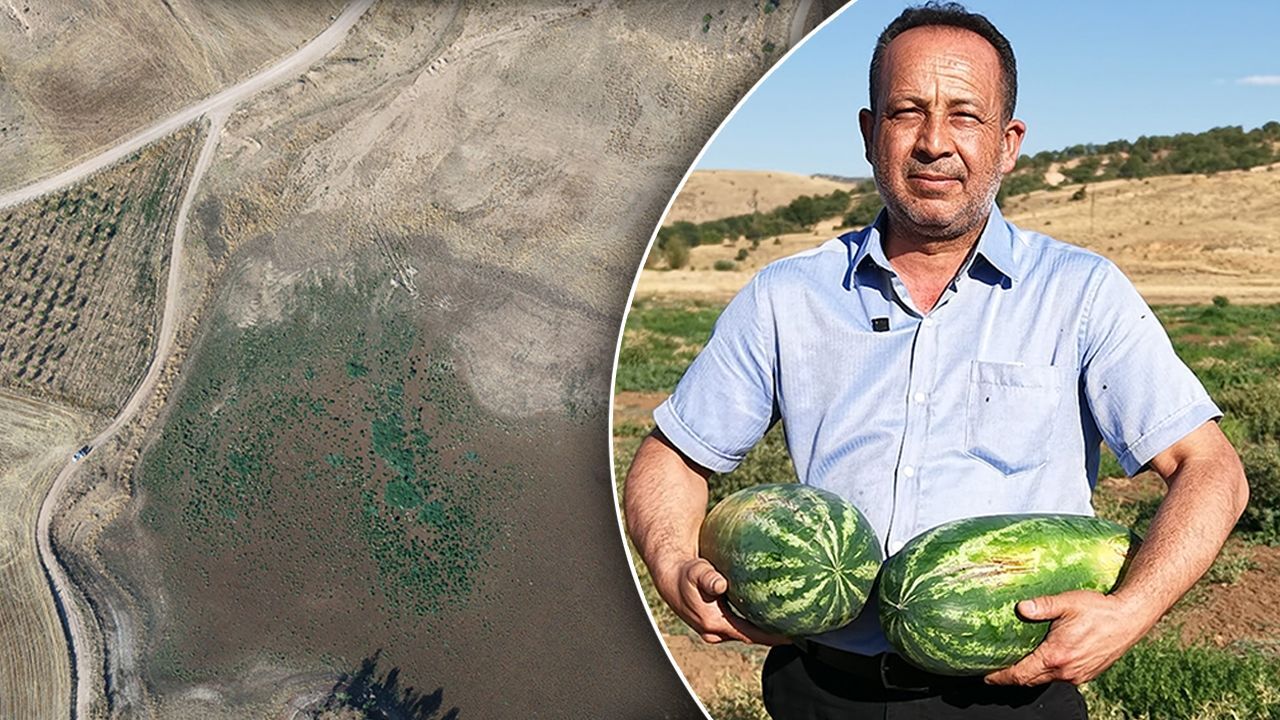 Kuruyan göl karpuz tarlasına döndü, köylüler hayret etti: Kimse ekmedi, kendiliğinden ortaya çıktılar Kuruyan göl karpuz tarlasına döndü, köylüler hayret etti: Kimse ekmedi, kendiliğinden ortaya çıktılar