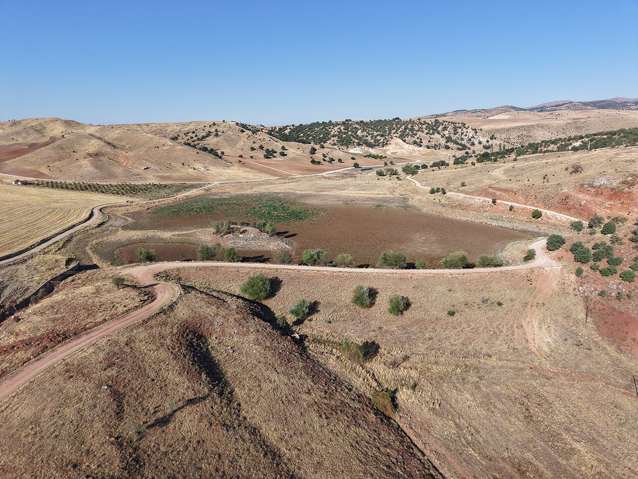 Kuruyan g&ouml;l karpuz tarlasına d&ouml;nd&uuml;, k&ouml;yl&uuml;ler hayret etti: Kimse ekmedi, kendiliğinden ortaya &ccedil;ıktılar - 5. Resim