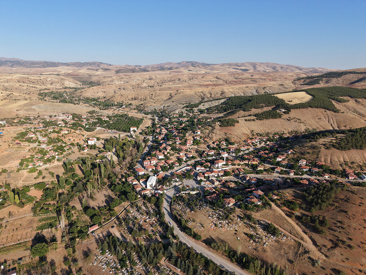 Kuruyan g&ouml;l karpuz tarlasına d&ouml;nd&uuml;, k&ouml;yl&uuml;ler hayret etti: Kimse ekmedi, kendiliğinden ortaya &ccedil;ıktılar - 2. Resim