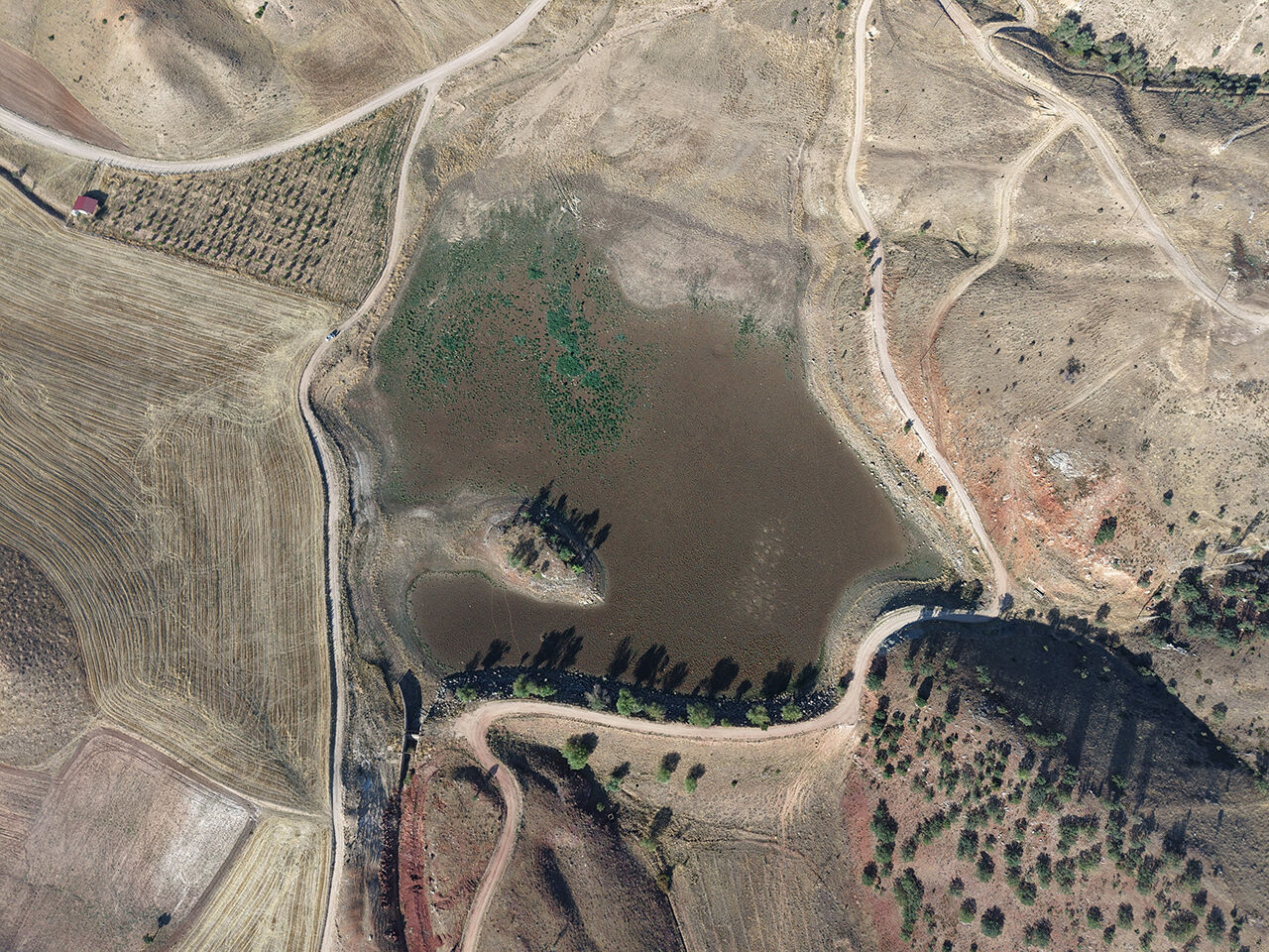 Kuruyan g&ouml;l karpuz tarlasına d&ouml;nd&uuml;, k&ouml;yl&uuml;ler hayret etti: Kimse ekmedi, kendiliğinden ortaya &ccedil;ıktılar - 7. Resim