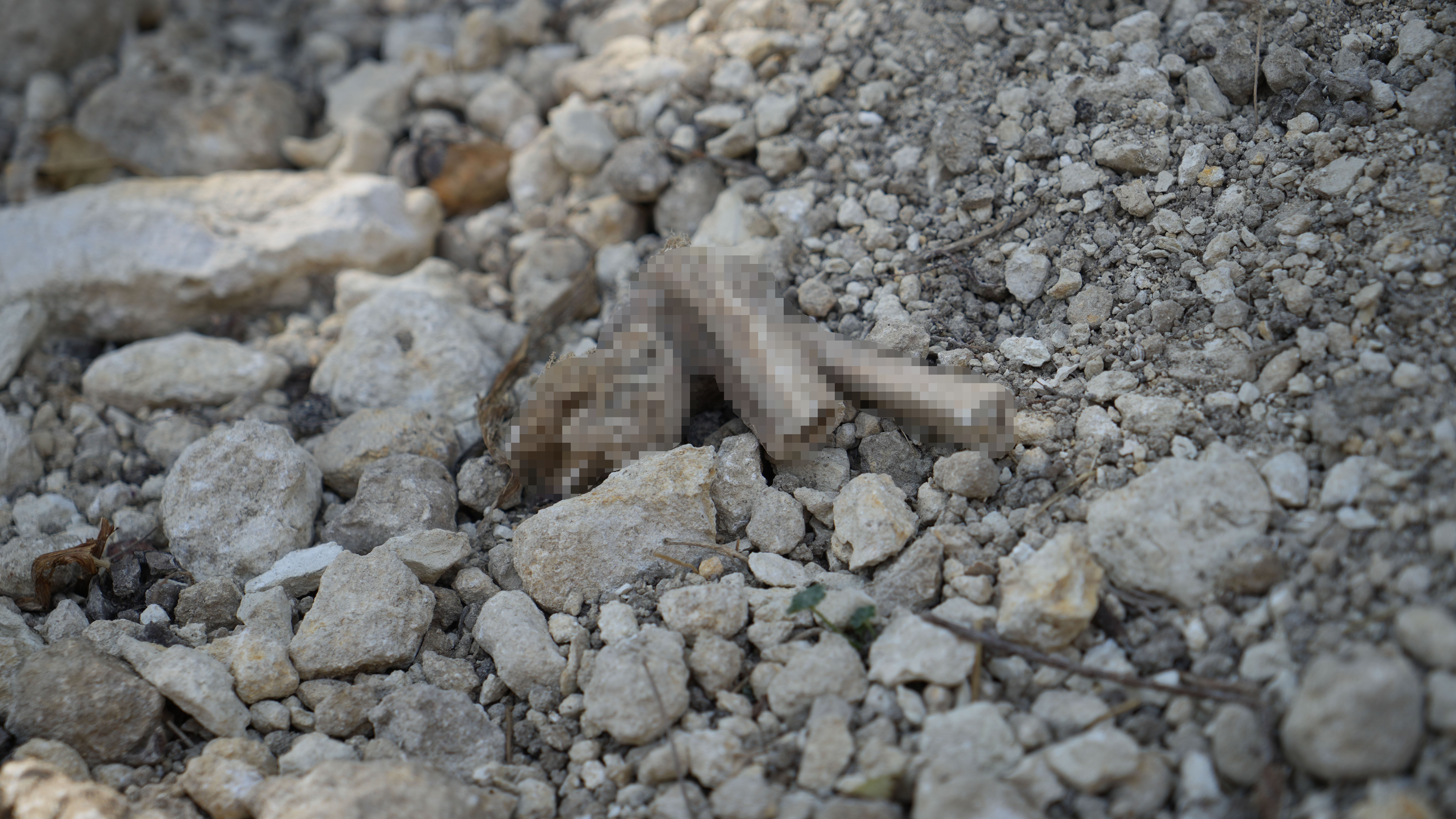 Mezarlıkta korkunç manzara! Bir cümle yüzünden ölüye de rahat vermediler - 4. Resim