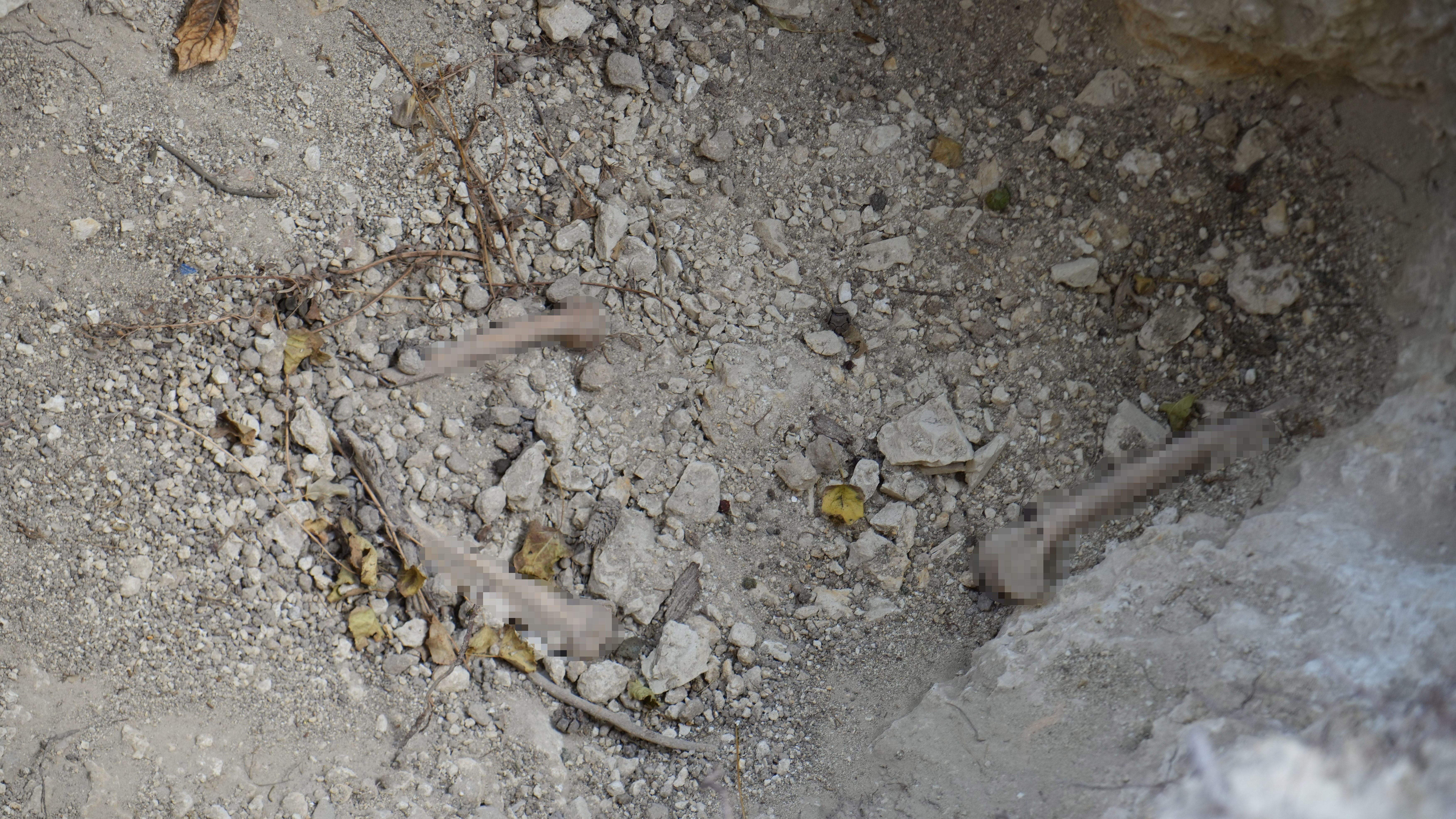 Mezarlıkta korkunç manzara! Bir cümle yüzünden ölüye de rahat vermediler - 3. Resim