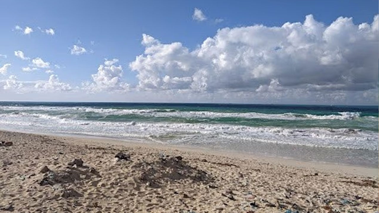 Okul gezisi faciayla bitti! 6 öğrenci boğuldu, 24 öğrenci yaralandı - 1. Resim