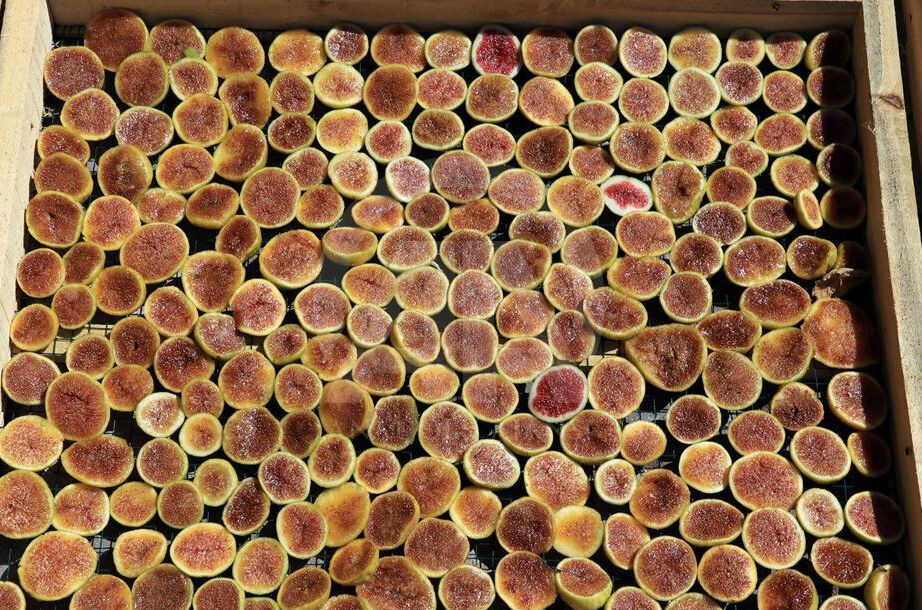 Hem sağlıklı hem lezzetli! Cips olarak tüketiliyor, kış aylarının gözdesi haline geldi - 1. Resim