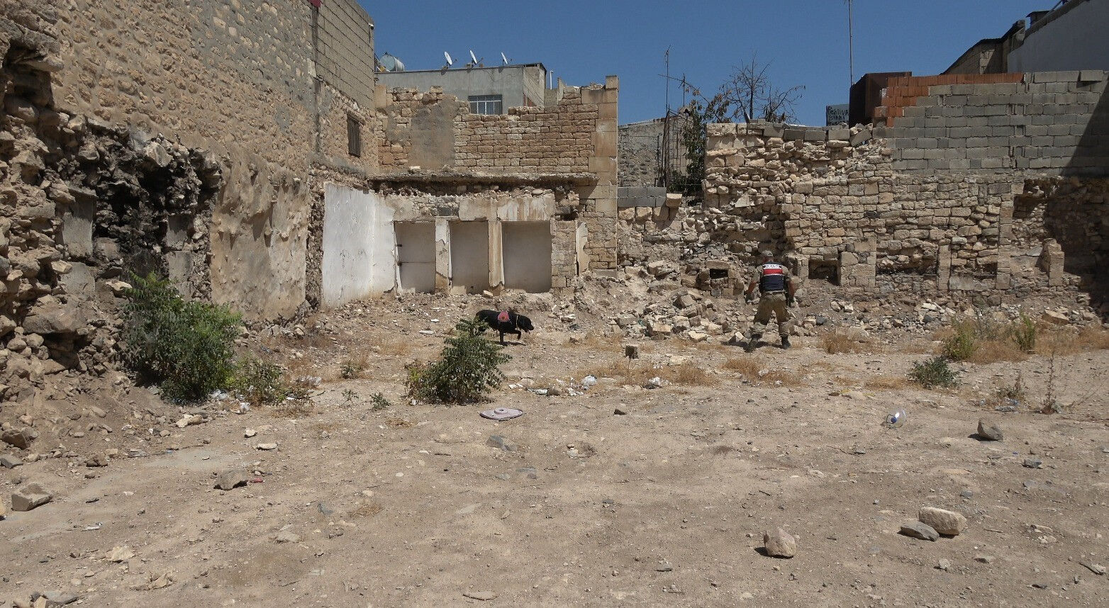 Kilis seferber oldu! 2 yaşındaki kız kayıplara karıştı: Ne duyan var ne de gören... - 1. Resim