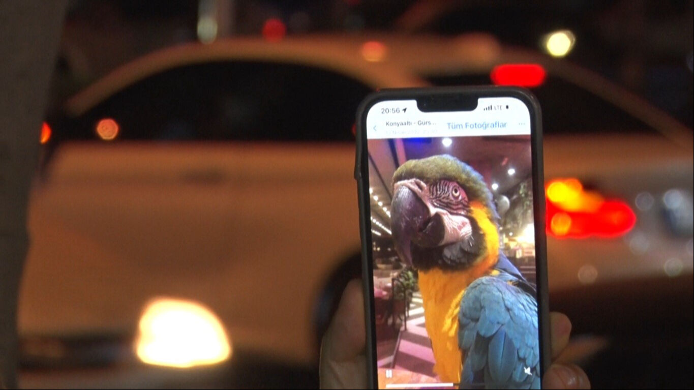 Turgut Özal'ın yadigarı 'Cabbar'a rahat yok... 28 yıllık sahibi isyan etti!