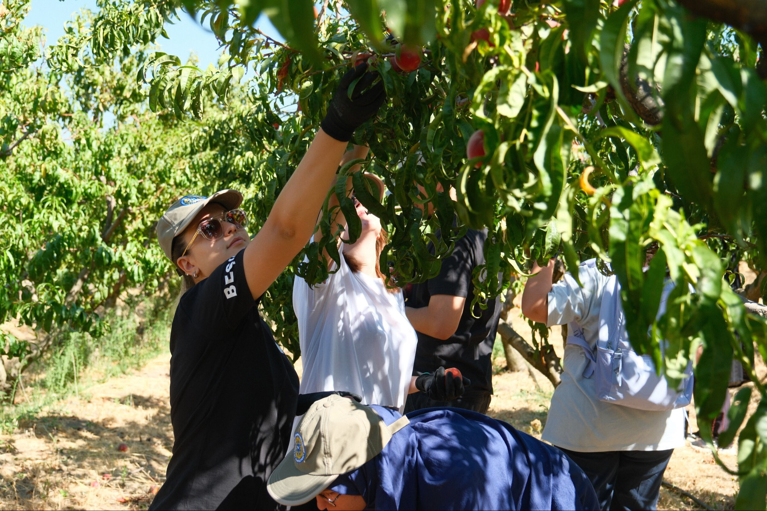 Üniversite kampüsünde gizli bahçe... İspanya'dan geldi Bursa'da test ediliyor! Öğrenciler hasat ediyor - 2. Resim