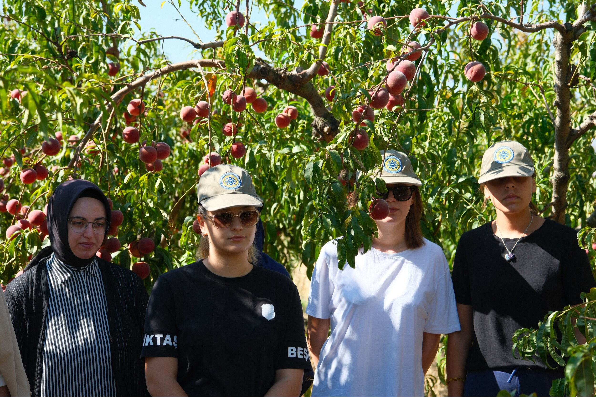 Üniversite kampüsünde gizli bahçe... İspanya'dan geldi Bursa'da test ediliyor! Öğrenciler hasat ediyor - 1. Resim