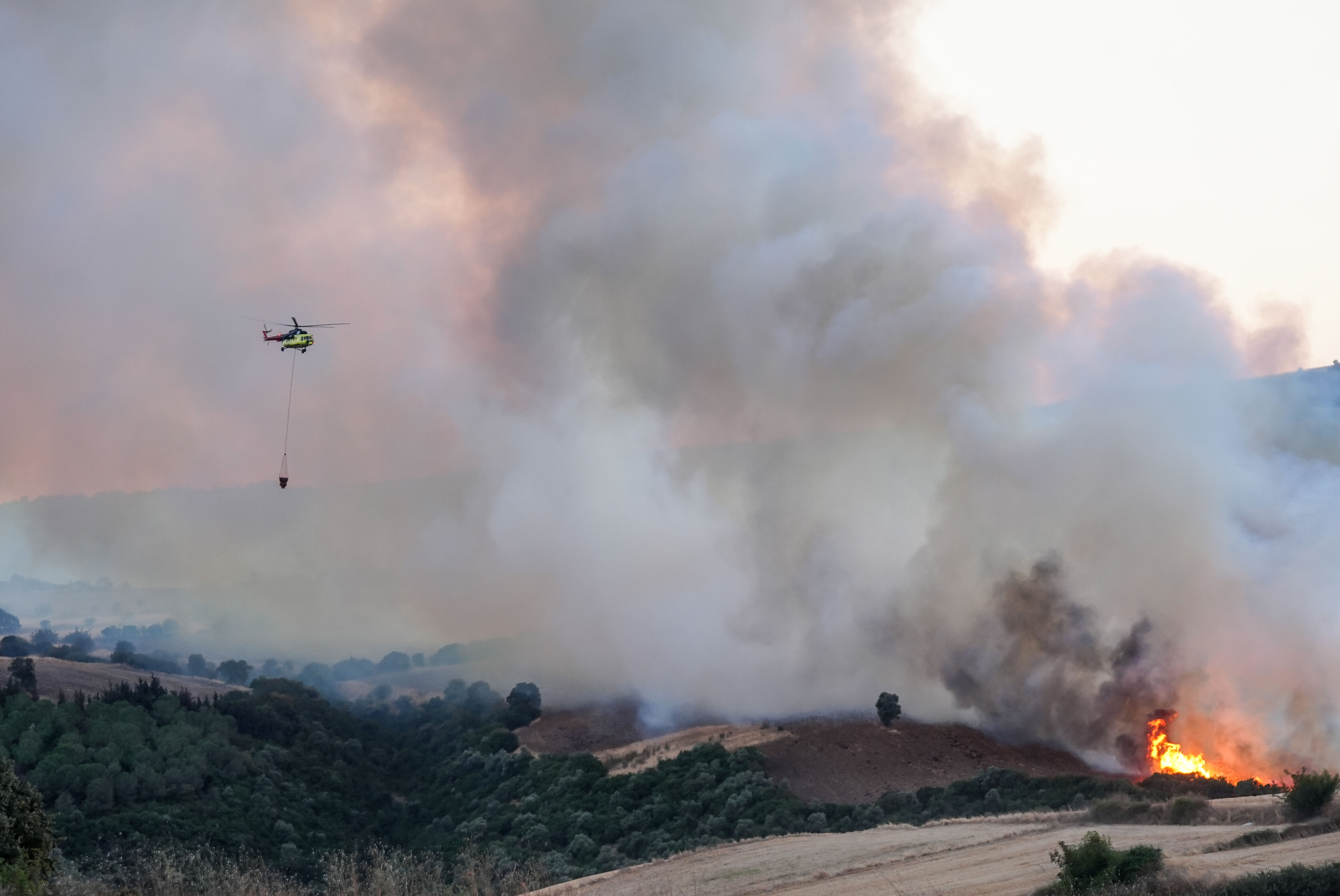 Balıkesir'de korkutan orman yangını! Alevler giderek büyüyor - 3. Resim