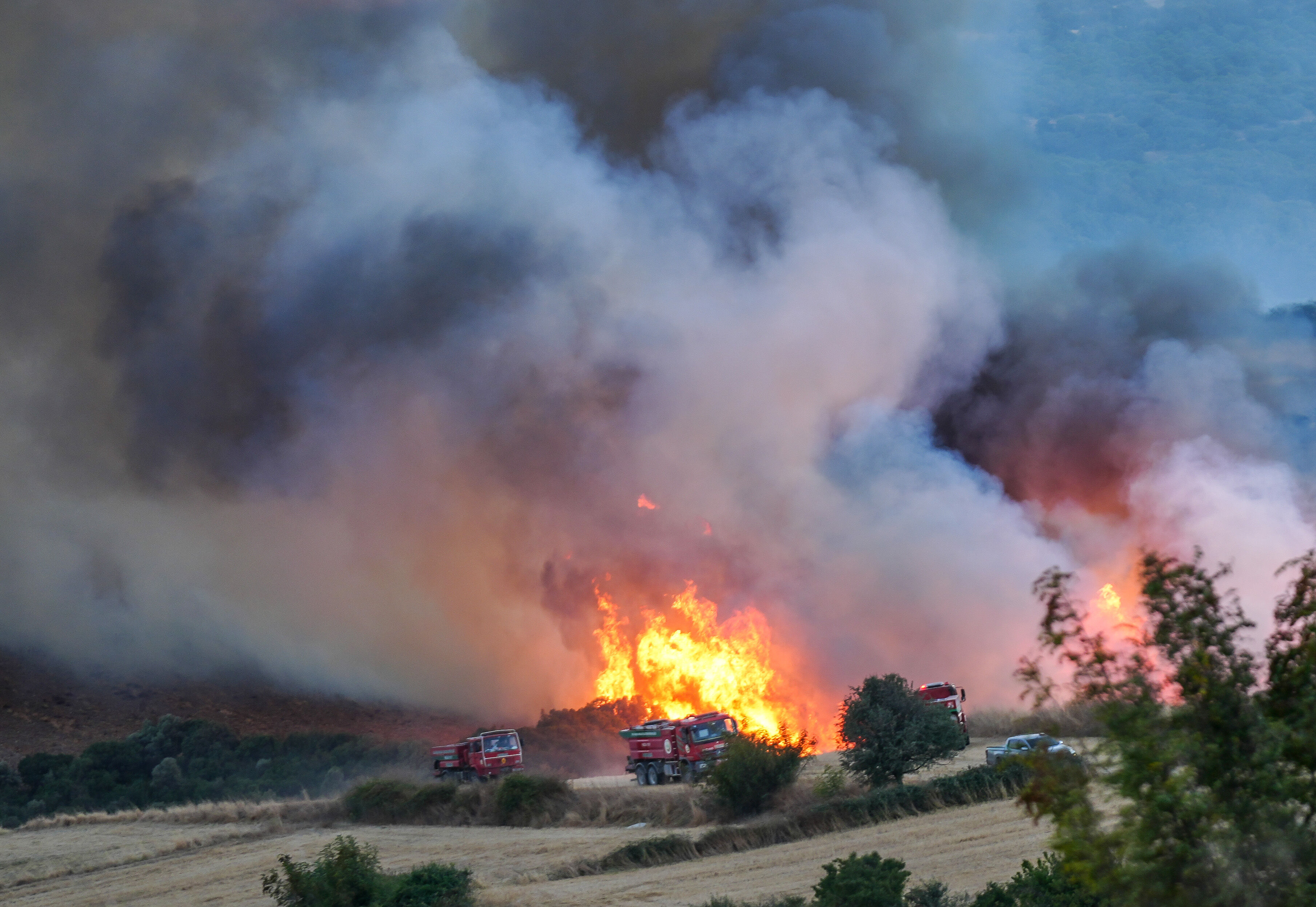 Balıkesir'de korkutan orman yangını! Alevler giderek büyüyor - 1. Resim