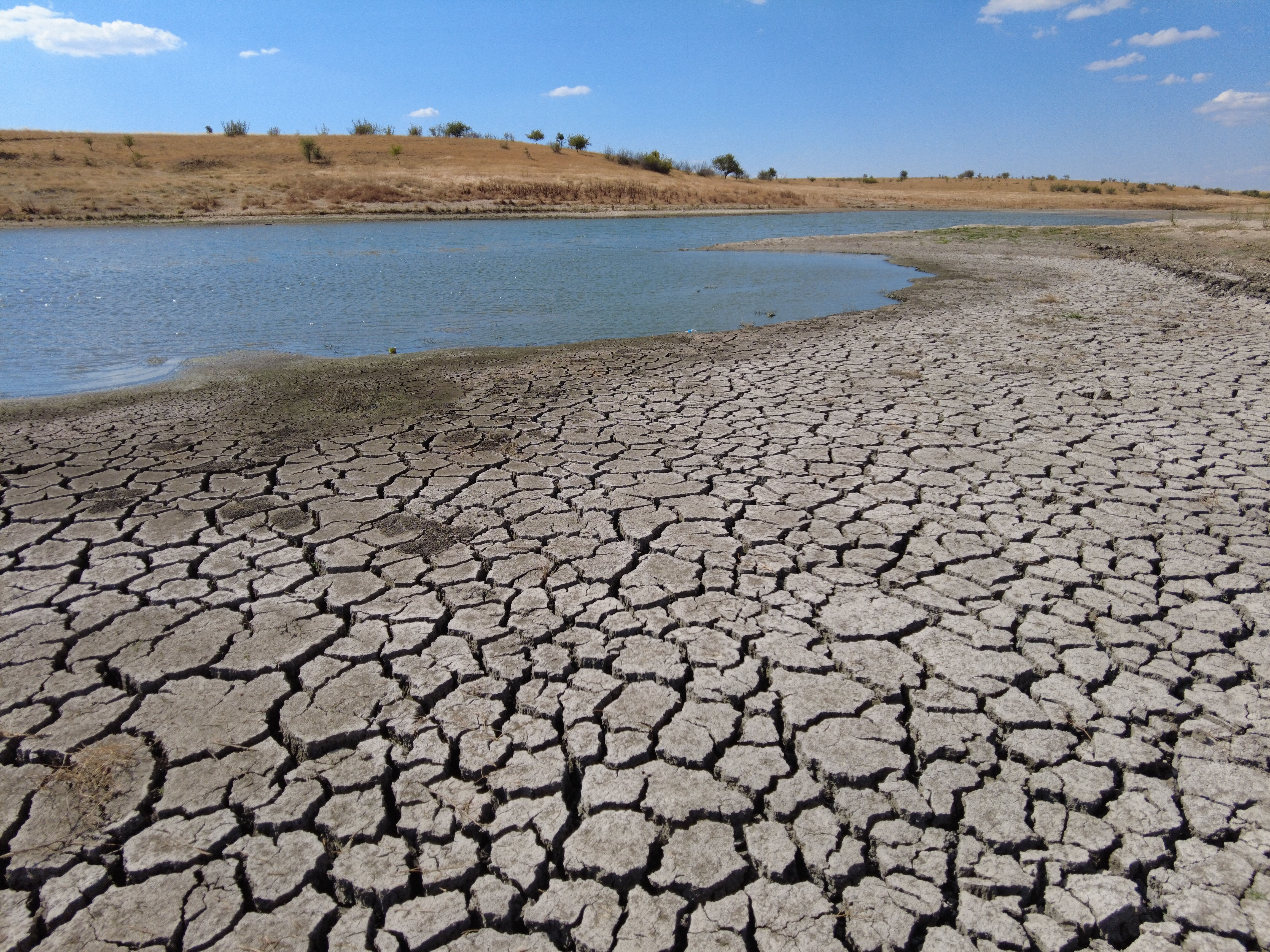 Bu görüntüler uyku kaçırır... Kuraklık vurdu, derin çatlaklar ortaya çıktı - 1. Resim