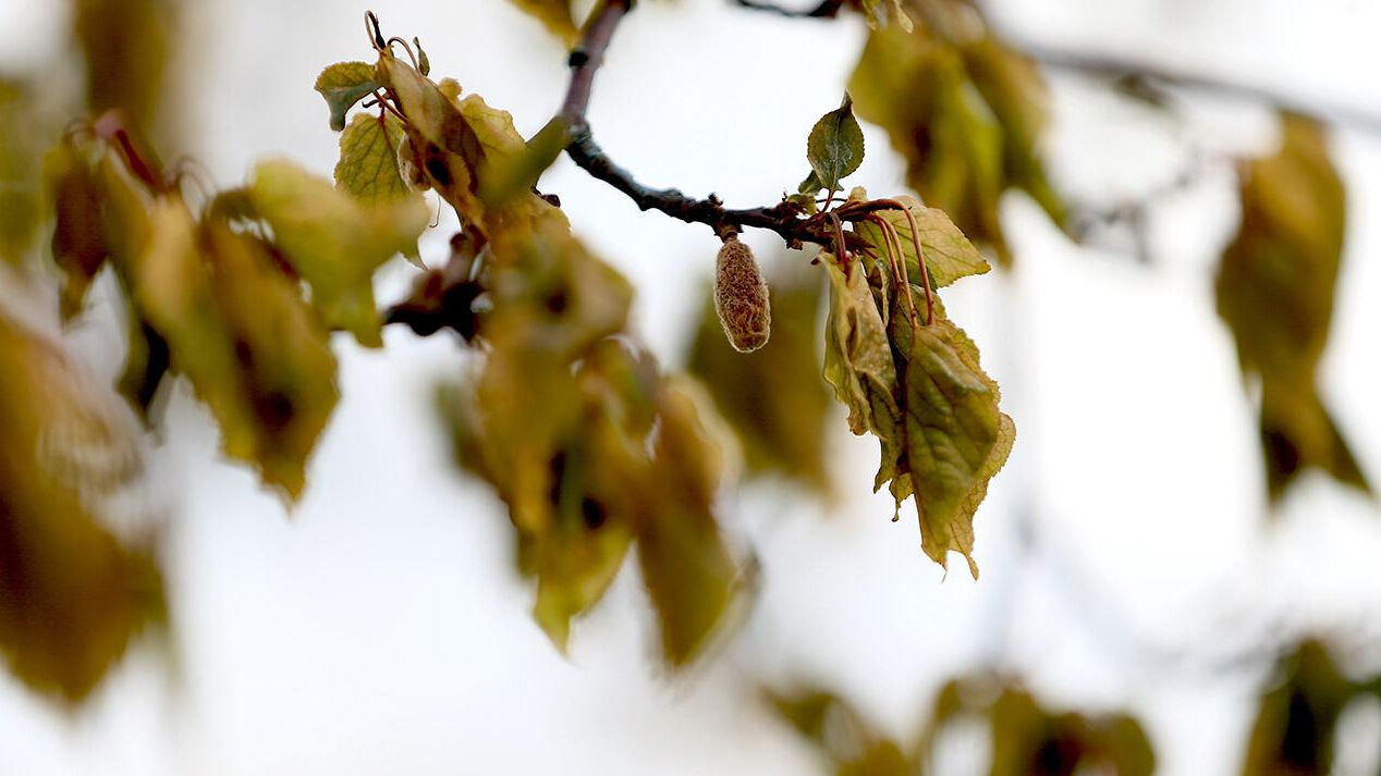Erdoğan'dan 23,4 milyar TL'lik m&uuml;jde! Destek &ouml;demesinden kimler yararlanabilecek? - 2. Resim