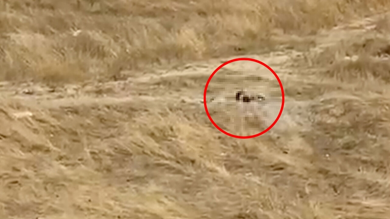 Güpegündüz fuhuş skandalı! Çocuk parkının yanında iğrenç görüntüler, vatandaşlar isyan etti - 1. Resim