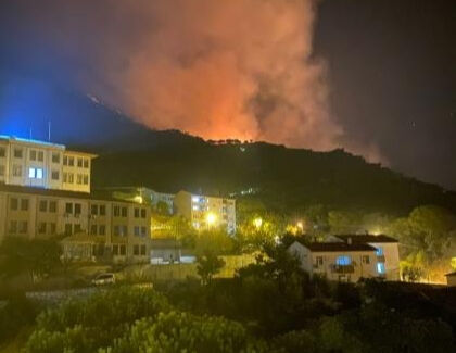 Marmara Adası'nda yangın! Ekipler bölgede - 1. Resim