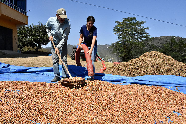 Baba kız birlikte çalışıyorlar! Saatte 4 bin lira kazanıyorlar: Babamın yetişemediği yerde ben devralıyorum - 2. Resim