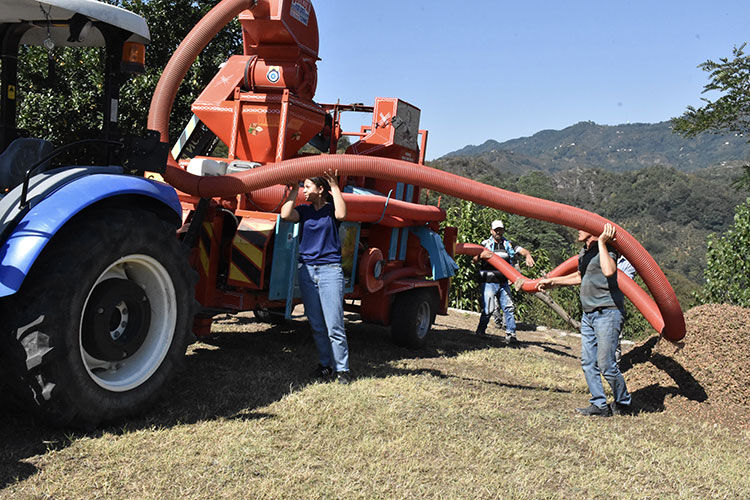 Baba kız birlikte çalışıyorlar! Saatte 4 bin lira kazanıyorlar: Babamın yetişemediği yerde ben devralıyorum - 3. Resim