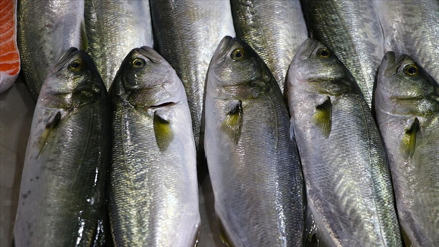 Geçen yıl kilosu 1.200 liraydı! 