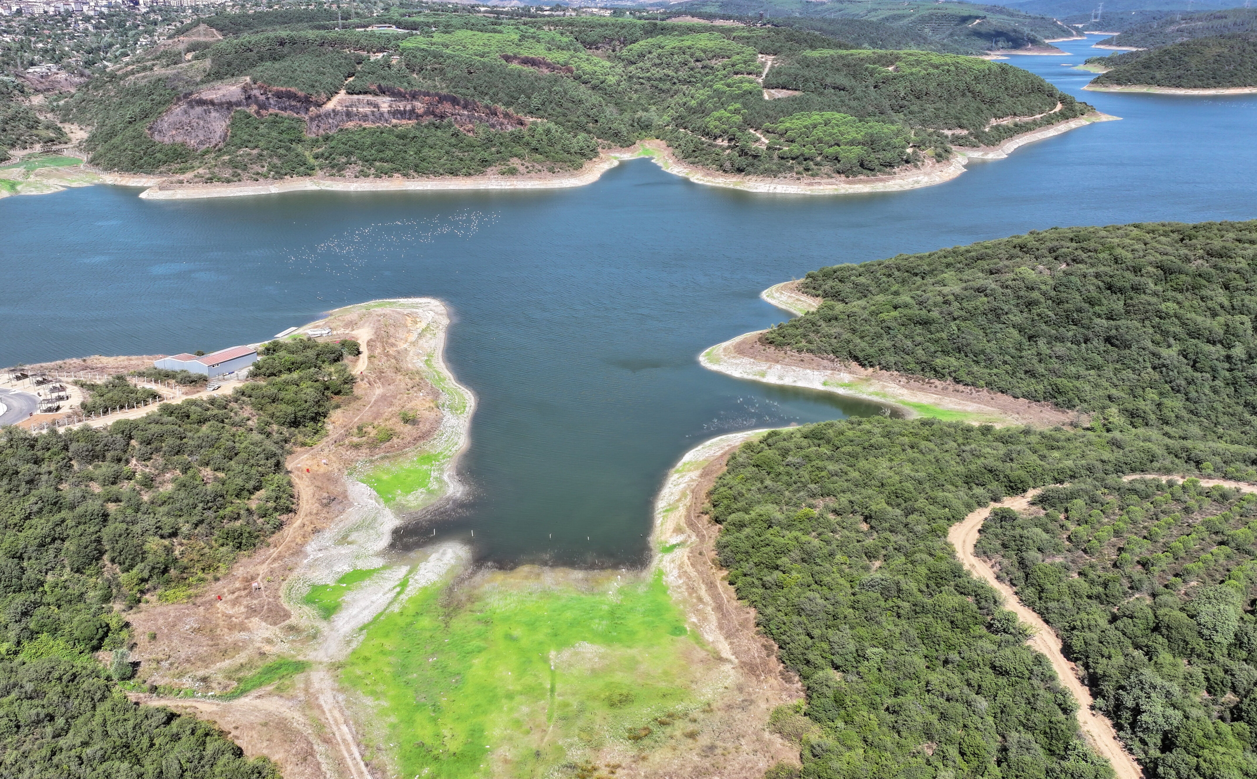 İstanbul'da barajlar alarm veriyor! Kuraklık da susuzluk da kapıda - 1. Resim