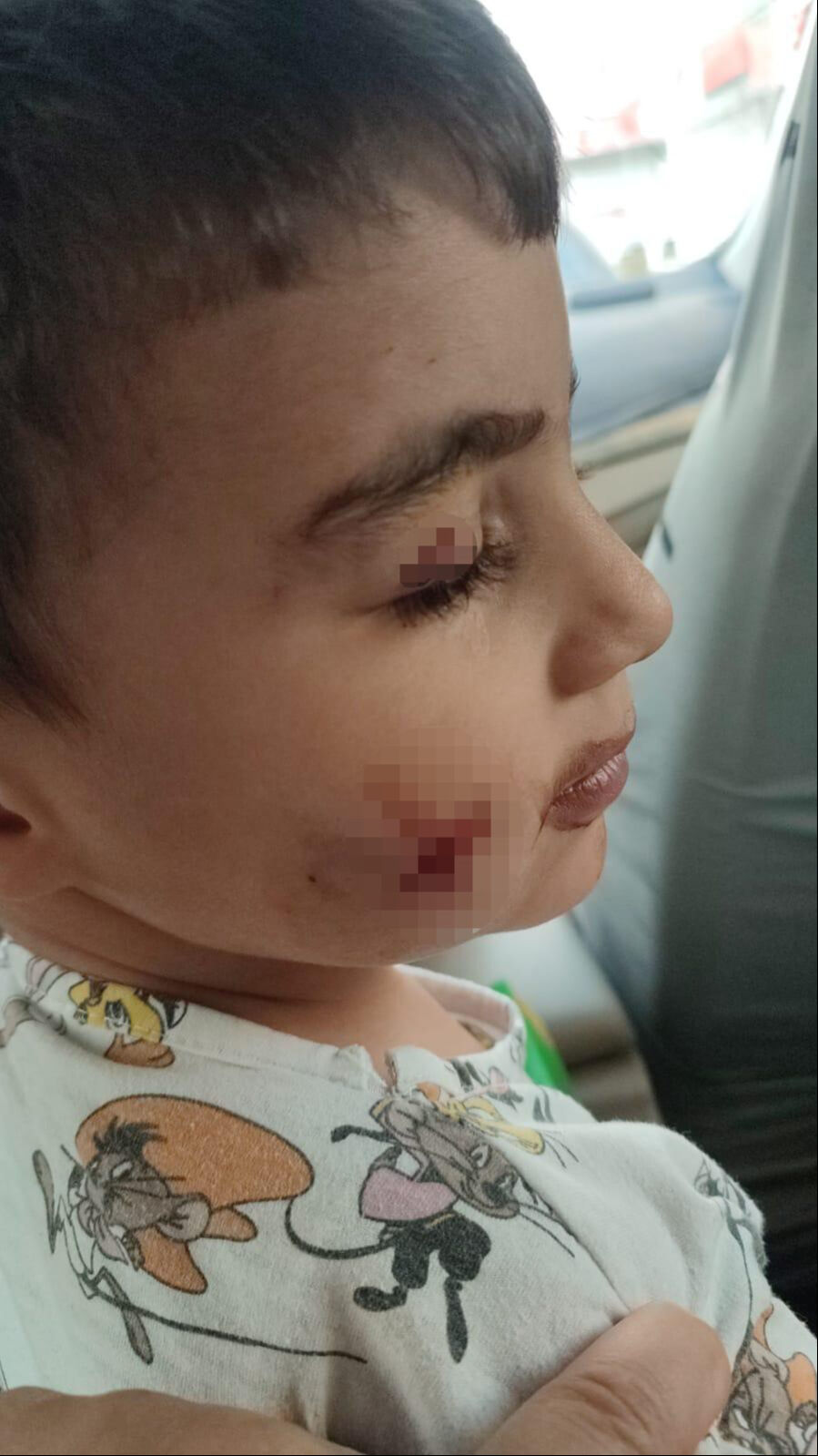 Sabah çocuklarının ağlama sesiyle uyandılar: 