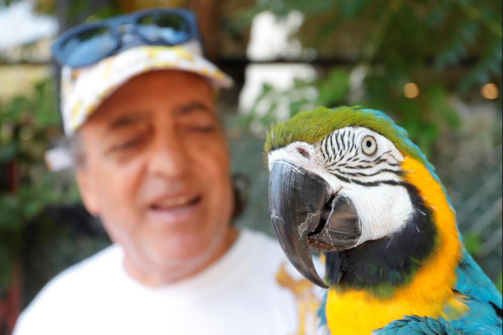 Turgut &Ouml;zal'ın kaybolan papağanından sevindiren haber! 3 g&uuml;n sonra bulundu - 2. Resim