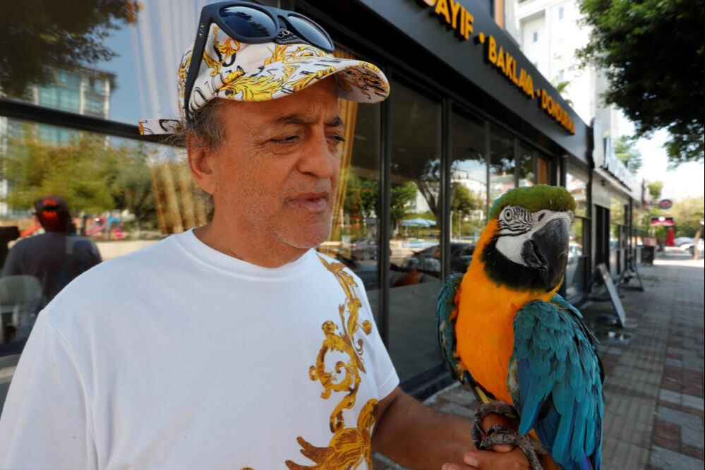 Turgut &Ouml;zal'ın kaybolan papağanından sevindiren haber! 3 g&uuml;n sonra bulundu - 3. Resim