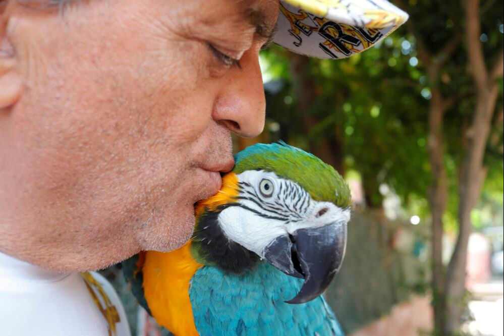 Turgut &Ouml;zal'ın kaybolan papağanından sevindiren haber! 3 g&uuml;n sonra bulundu - 1. Resim