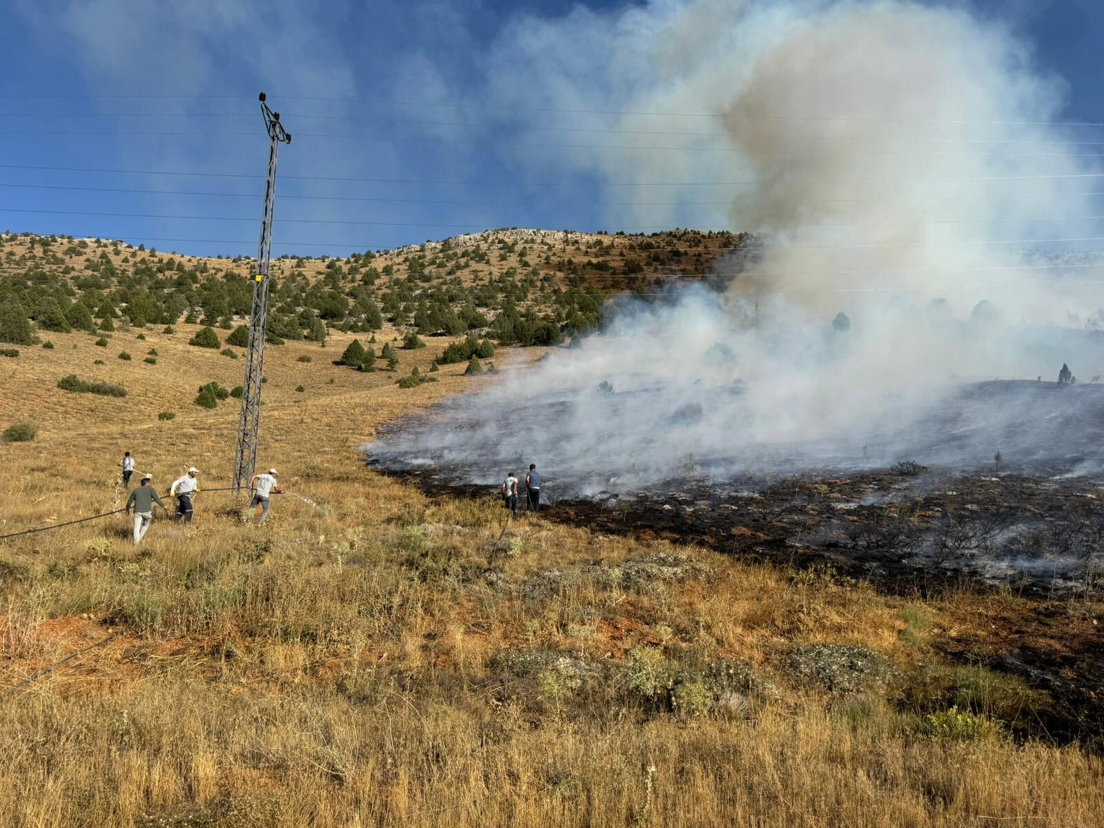 Adana Tufanbeyli'de orman yangını - 1. Resim