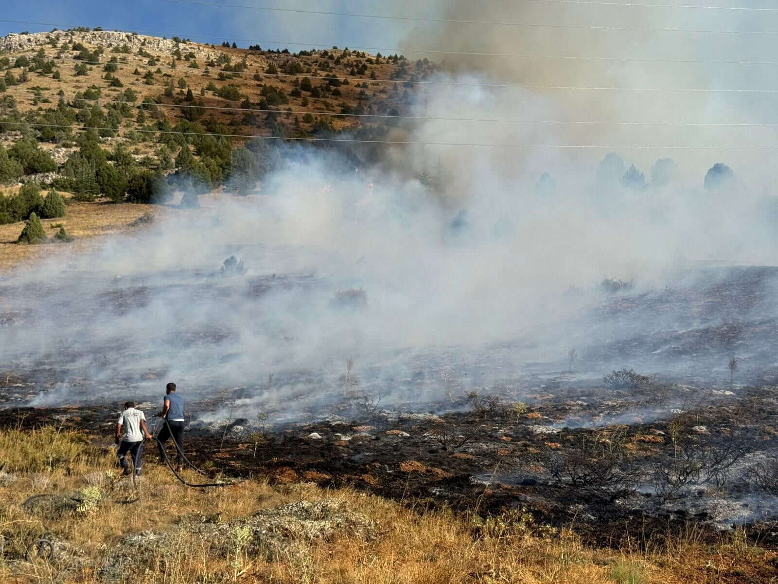Adana Tufanbeyli'de orman yangını - 2. Resim