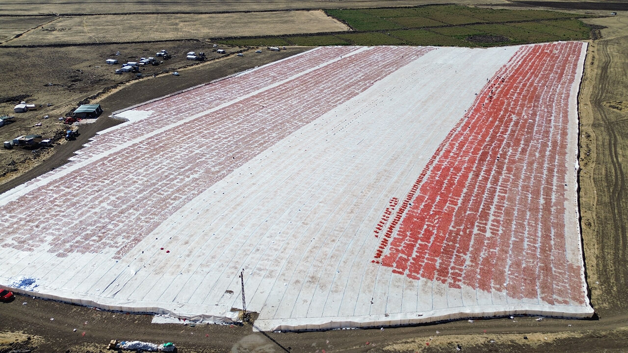 Aşırı sıcakları verimi d&uuml;ş&uuml;rd&uuml;! Kuru domates &uuml;retiminde tablo vahim - 3. Resim