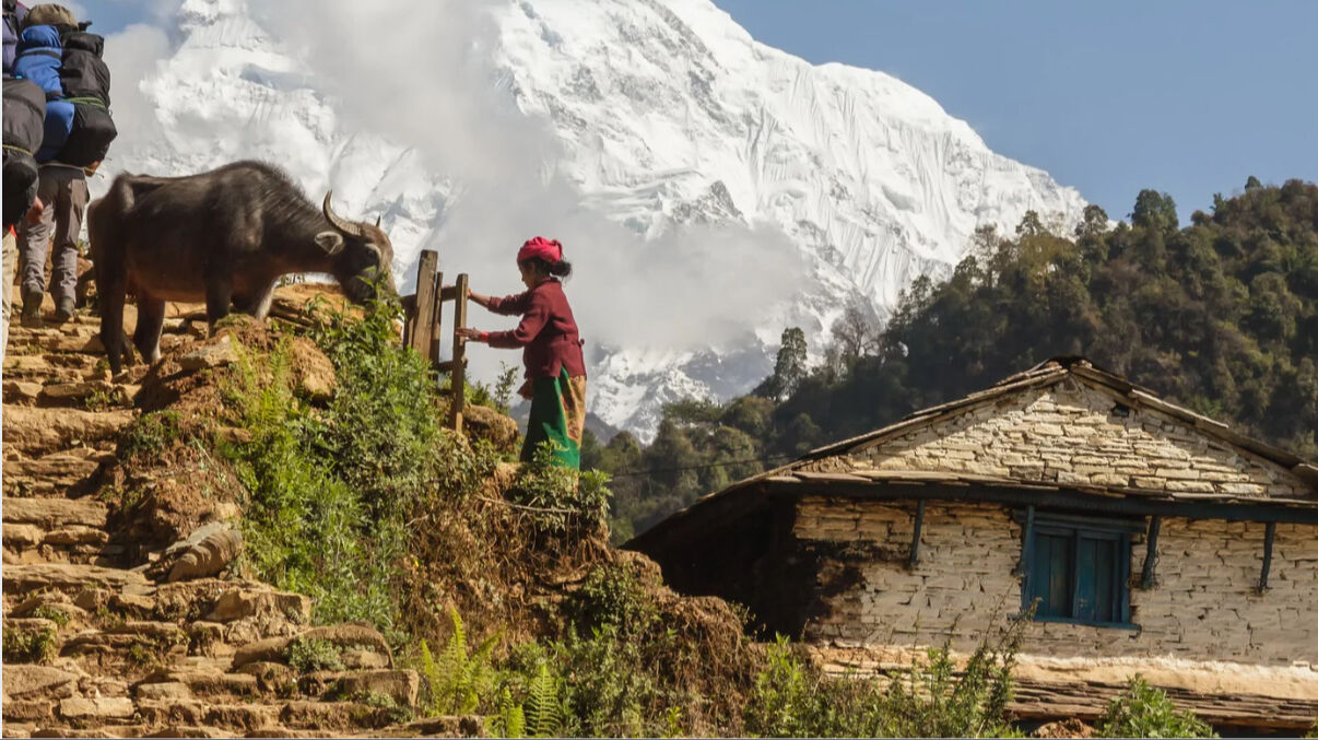 Bulutların üstünde yaşayan insanlar... Himalayalar'da hayatta kalmanın sırrı! Gen uzmanlarından ilginç araştırma - 2. Resim