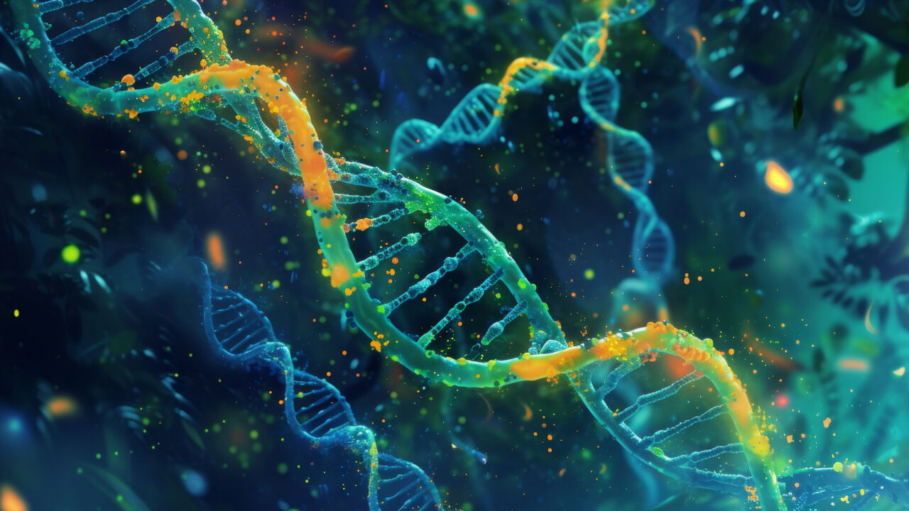 Bulutların üstünde yaşayan insanlar... Himalayalar'da hayatta kalmanın sırrı! Gen uzmanlarından ilginç araştırma - 1. Resim