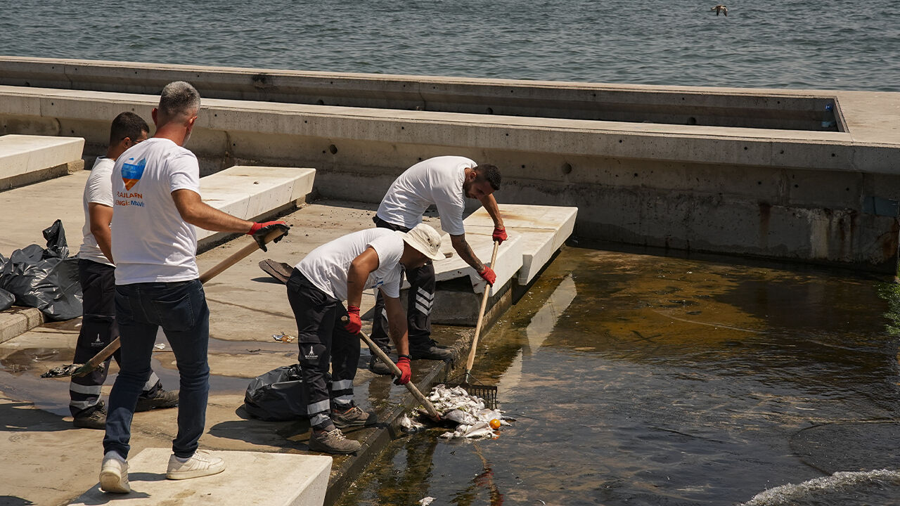 İzmir Körfezi'nden gelen görüntüler korkunç! Ölümler çoğaldı, poşet yetmedi - 1. Resim