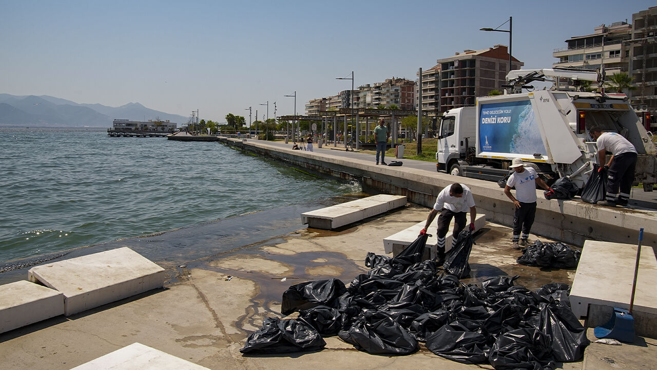 İzmir Körfezi'nden gelen görüntüler korkunç! Ölümler çoğaldı, poşet yetmedi - 3. Resim