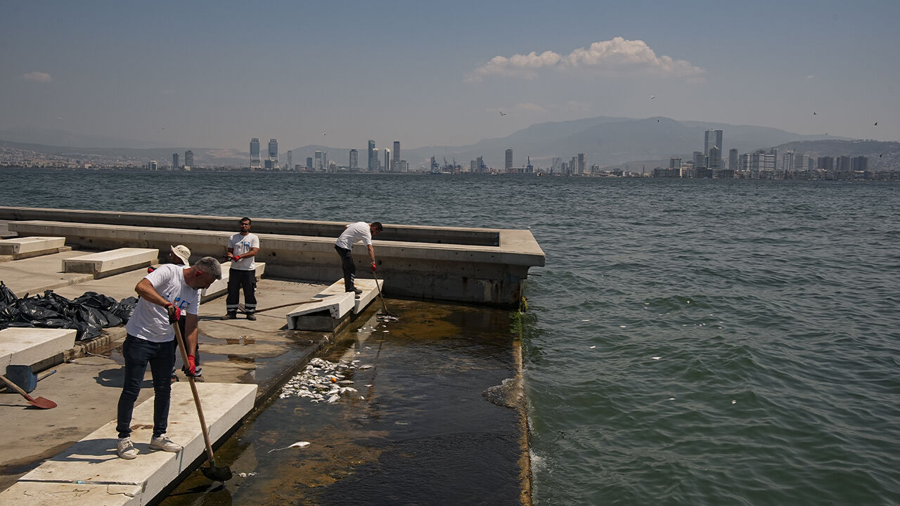 İzmir Körfezi'nden gelen görüntüler korkunç! Ölümler çoğaldı, poşet yetmedi - 2. Resim