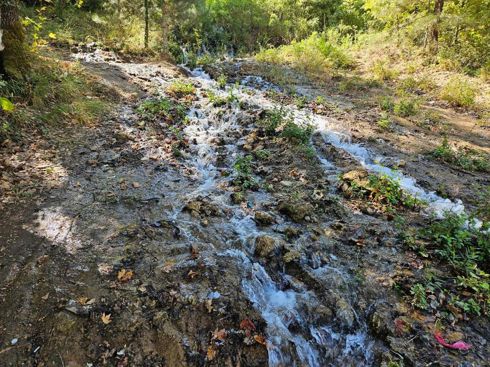 Sındırgı depremden sonra oldu! Su kaynakları yer değiştirdi: Araştırmacılar 2 ay süre verdi - 3. Resim