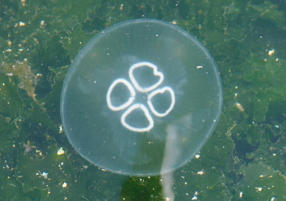 "Tam bitti" derken başka kabus başladı! Ciddi boyutlara ulaştı "Tam bitti" derken başka kabus başladı! Ciddi boyutlara ulaştı - 1. Resim