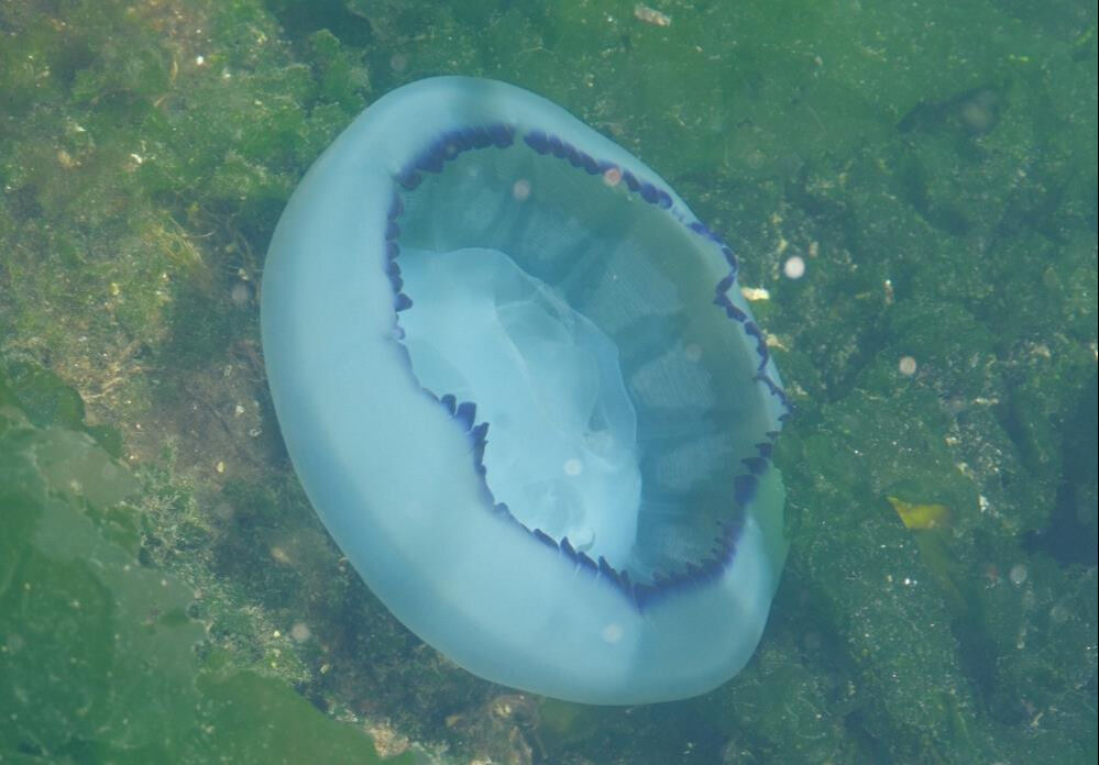 "Tam bitti" derken başka kabus başladı! Ciddi boyutlara ulaştı "Tam bitti" derken başka kabus başladı! Ciddi boyutlara ulaştı - 3. Resim