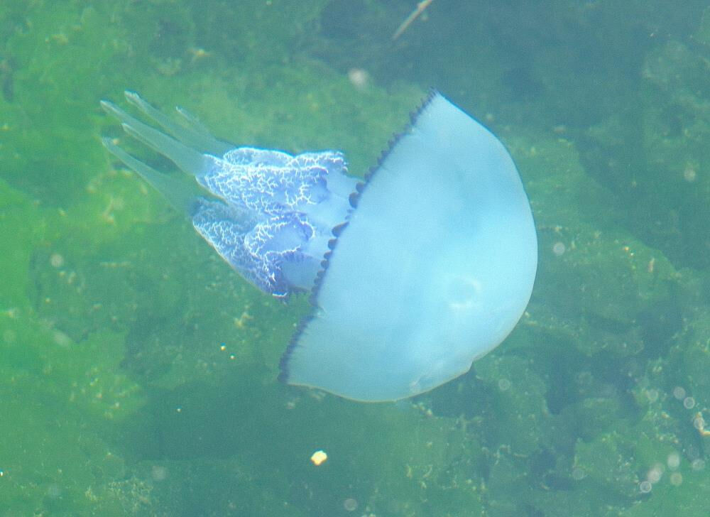 "Tam bitti" derken başka kabus başladı! Ciddi boyutlara ulaştı "Tam bitti" derken başka kabus başladı! Ciddi boyutlara ulaştı - 4. Resim