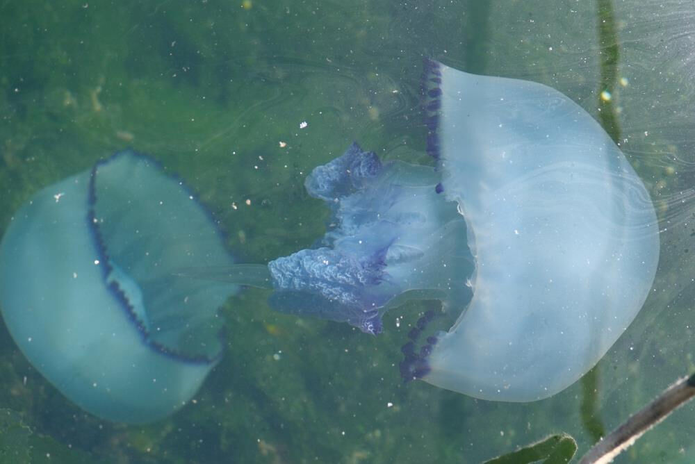 "Tam bitti" derken başka kabus başladı! Ciddi boyutlara ulaştı "Tam bitti" derken başka kabus başladı! Ciddi boyutlara ulaştı - 5. Resim