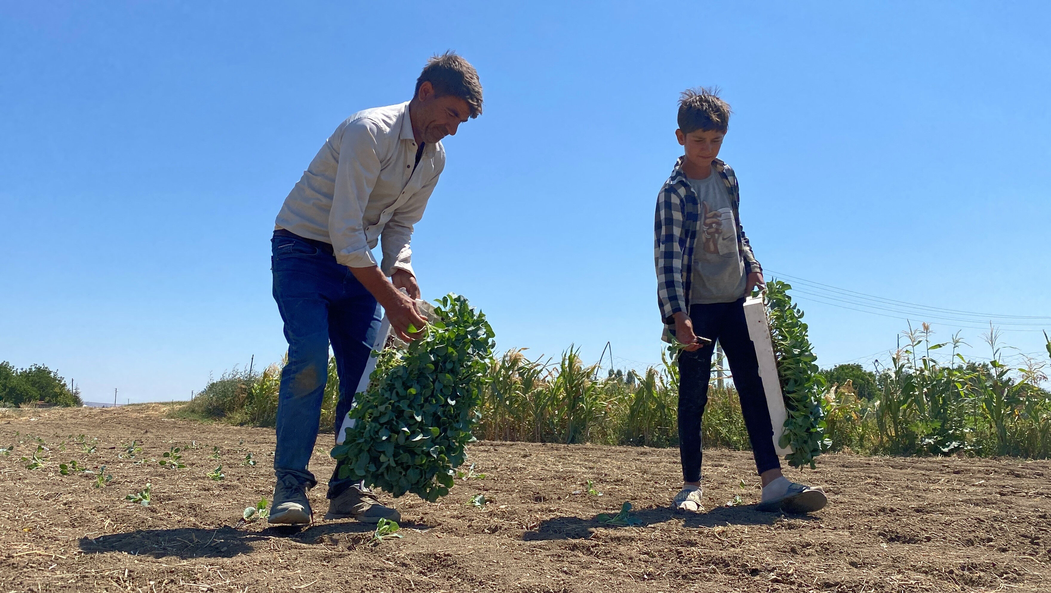 Toprağı kuruyan çiftçiden kötü haber geldi! Üretim durma noktasında - 3. Resim