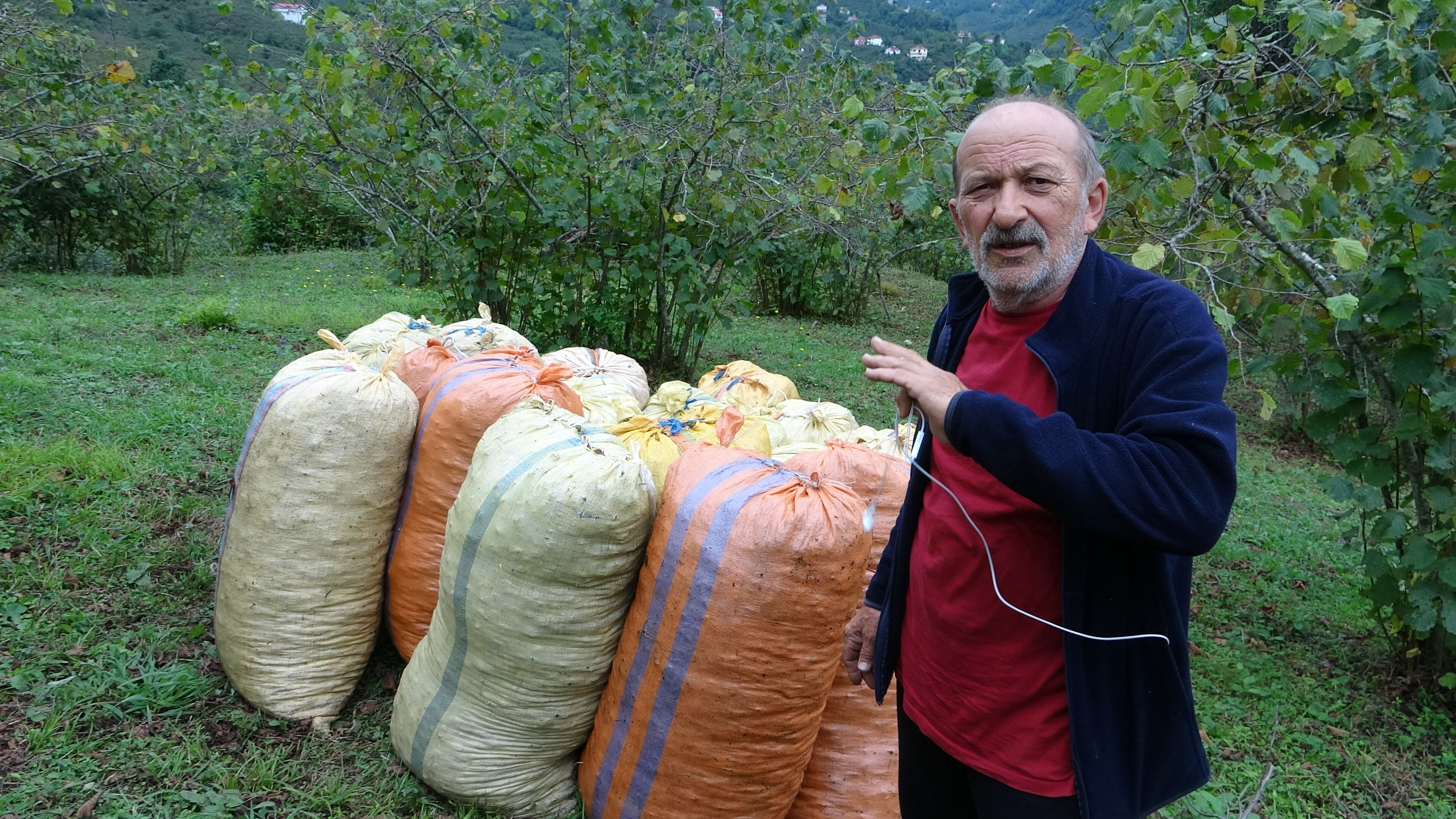 1 günlük işi 1 saatte yapıyorlar! Karadenizli çiftçinin derdine dronlu çözüm - 4. Resim