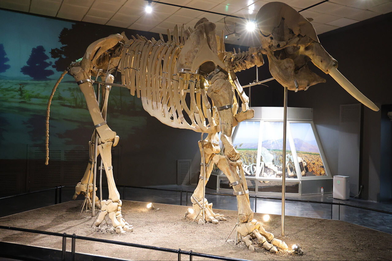 Depremde kapanan binlerce yıllık tarih görücüye çıktı! Kahramanmaraş Arkeoloji Müzesi ziyarete açıldı - 1. Resim