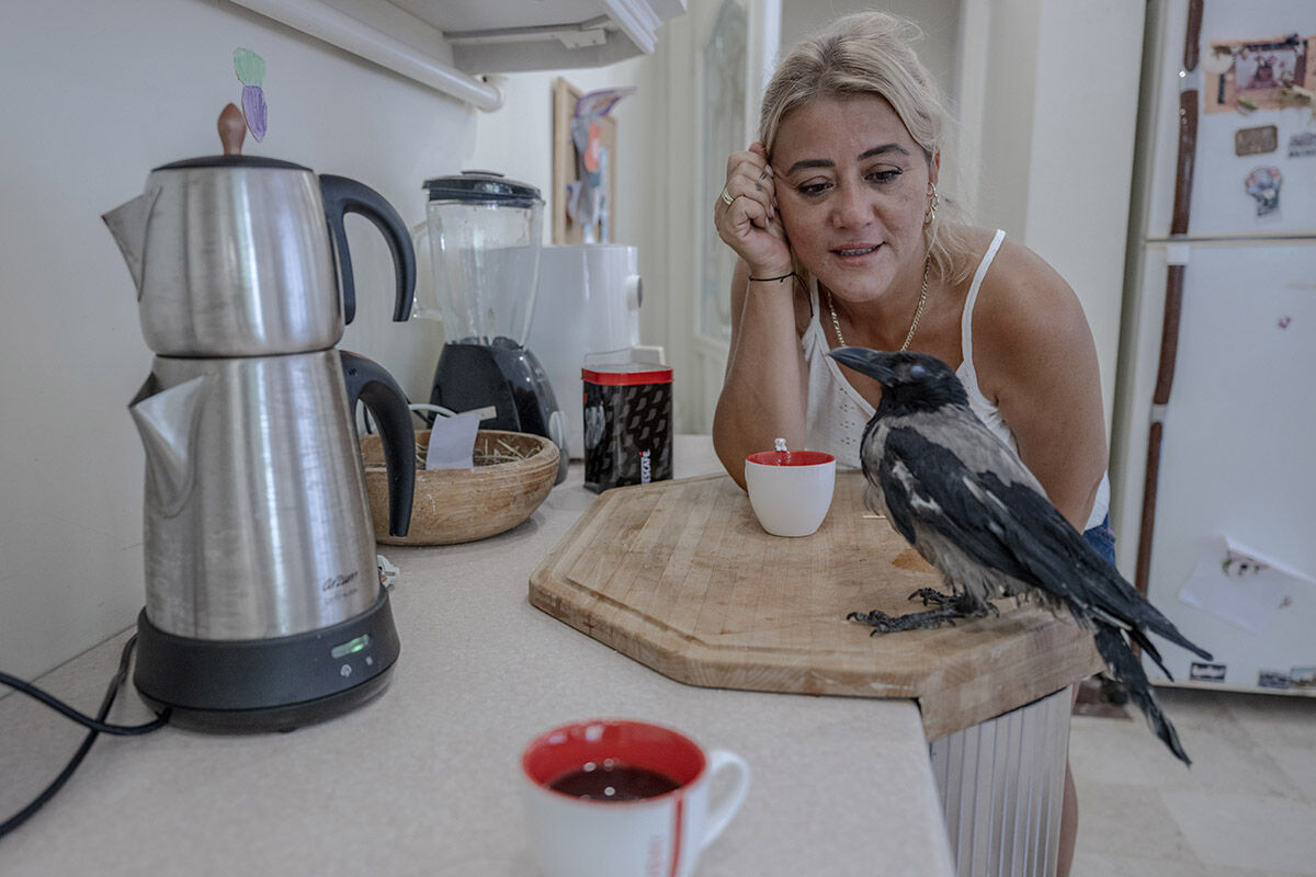 Havuzlu villada eşek besleyen aile! Sahiplendikleri hayvanları görenler hayret ediyor - 9. Resim