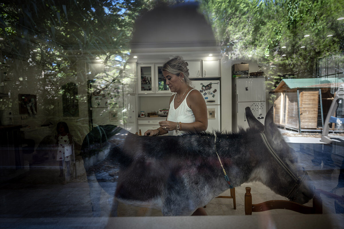 Havuzlu villada eşek besleyen aile! Sahiplendikleri hayvanları görenler hayret ediyor - 15. Resim