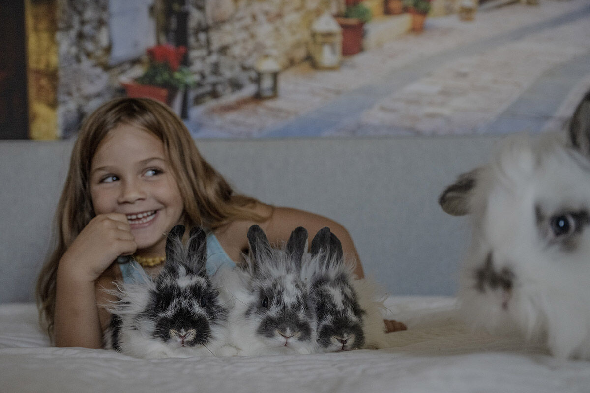 Havuzlu villada eşek besleyen aile! Sahiplendikleri hayvanları görenler hayret ediyor - 6. Resim