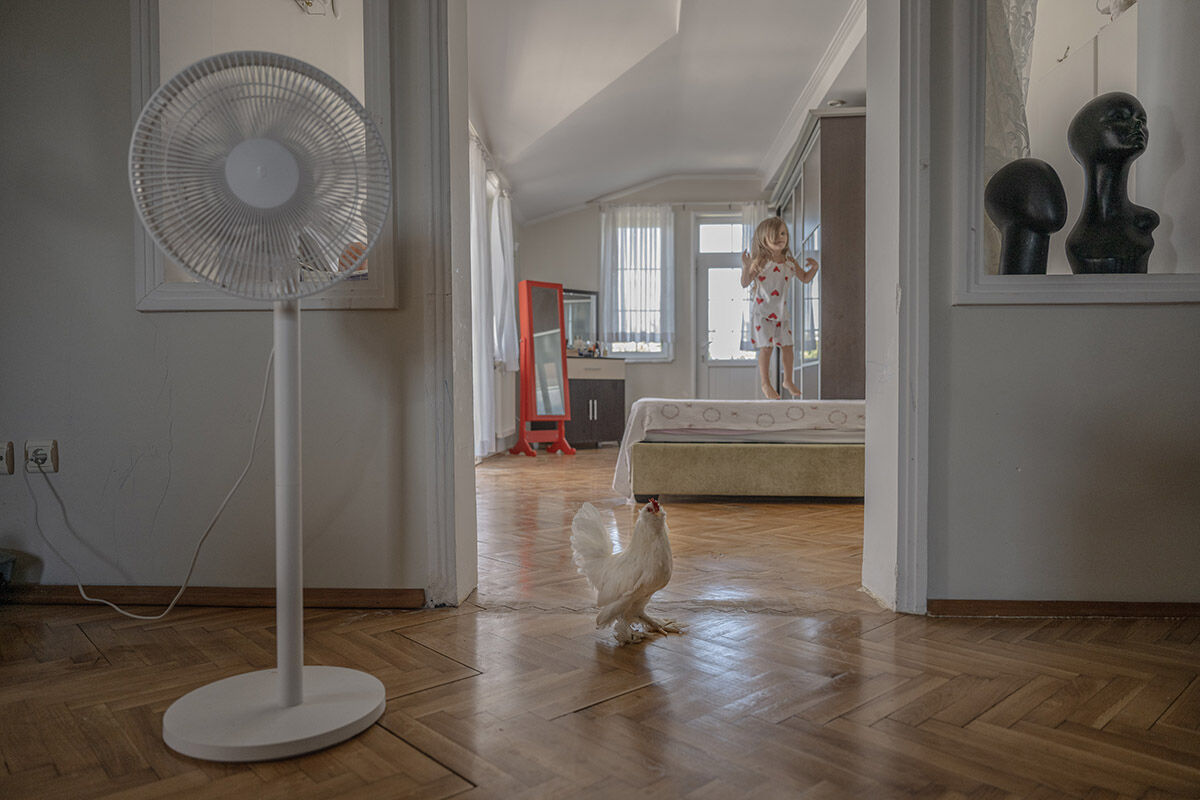 Havuzlu villada eşek besleyen aile! Sahiplendikleri hayvanları görenler hayret ediyor - 8. Resim