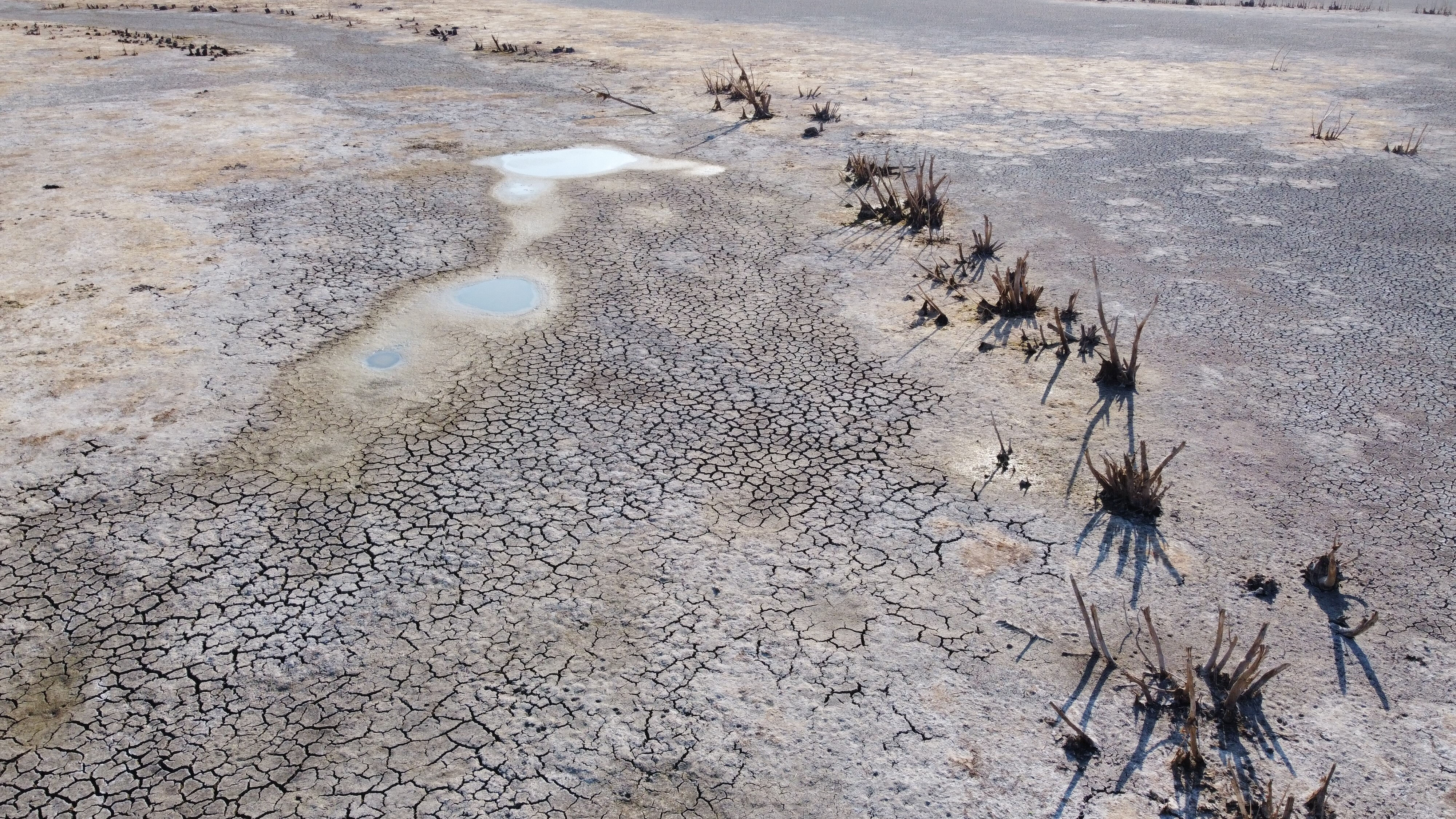 Baraj kurudu, toprak çatladı! Bir kentimizde kuraklık alarmı - 1. Resim